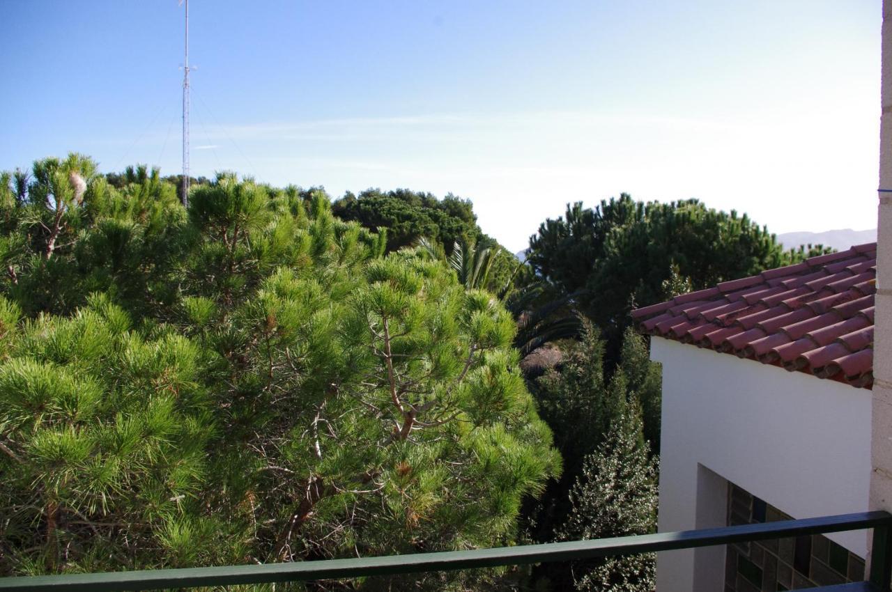 Apartaments Falcó Llança Exterior foto